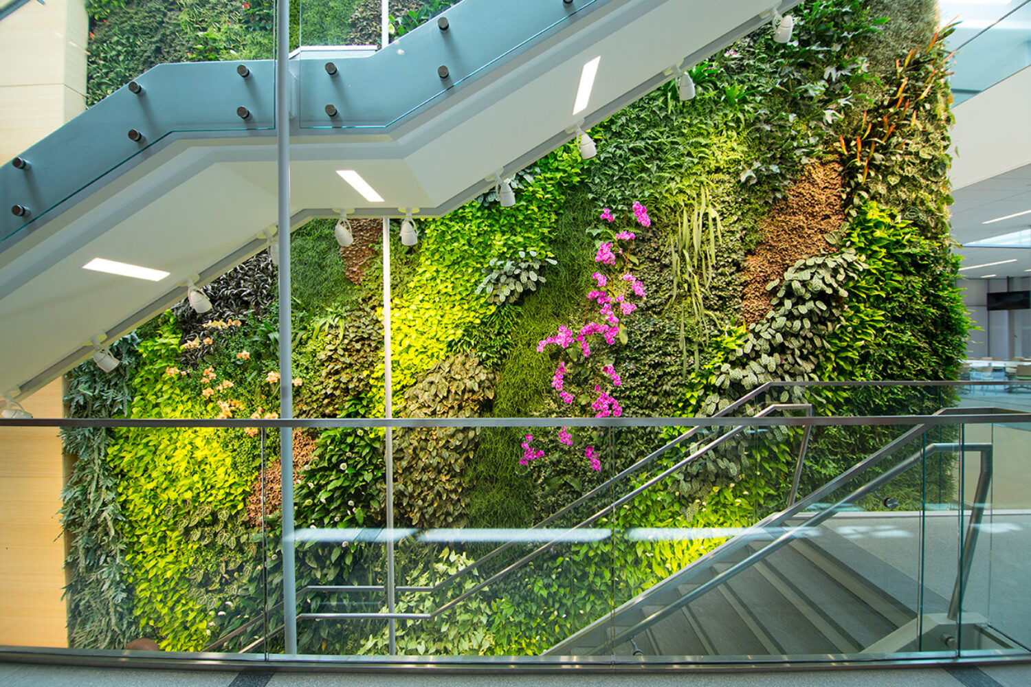 EcoWall | EcoWalls